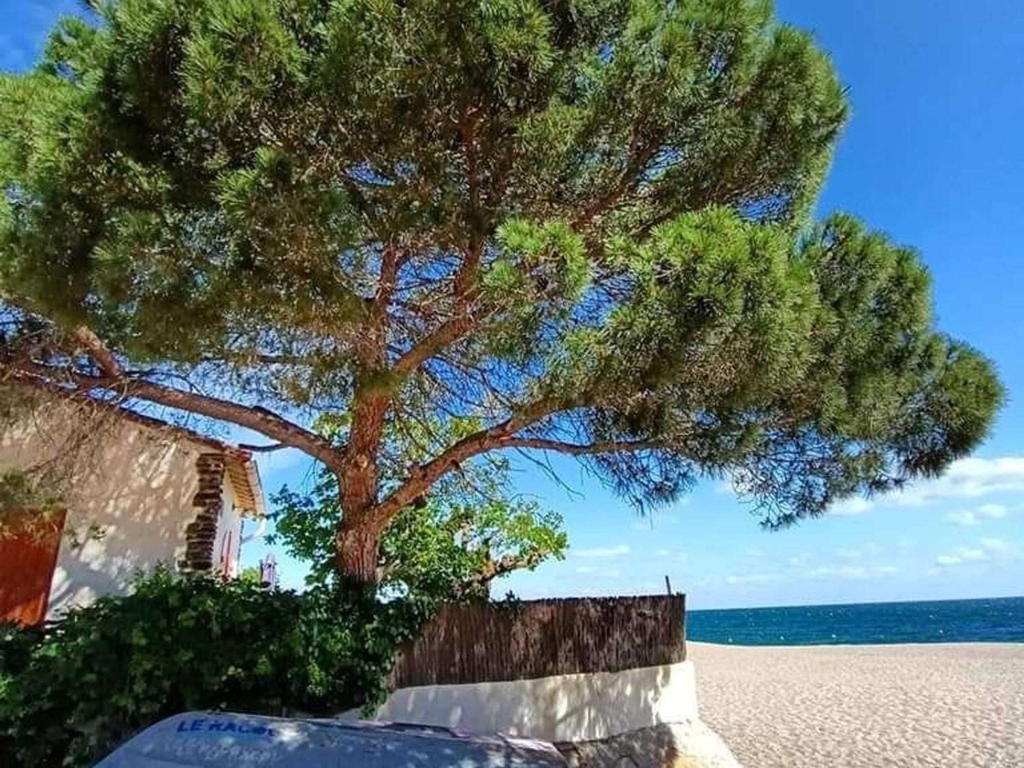 Pavillon 6 Pers A Argeles-Sur-Mer: Piscine, Clim, Parking, Wifi, Proche Plage - Fr-1-776-5 المظهر الخارجي الصورة